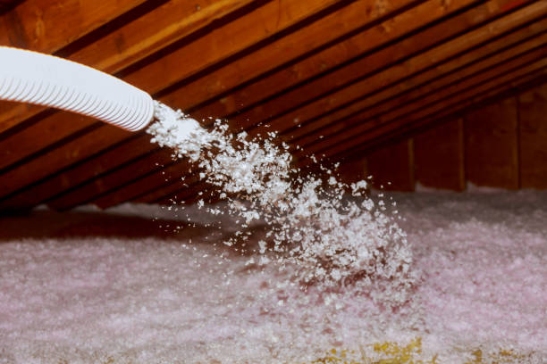 Best Specialty Insulation in Cary, NC
